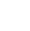 Home Icon