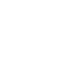 Partner Icon